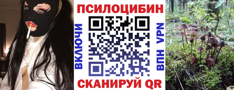OMG сайт  продажа наркотиков  Тында  Псилоцибиновые грибы мухоморы 